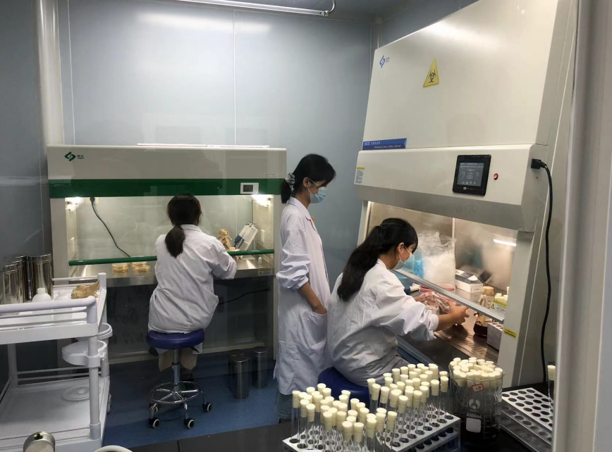 公共衛(wèi)生檢測的重要性，你了解嗎？
