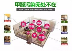 快速裝修出租，甲醛超標嚴重